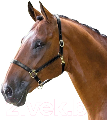 Недоуздок для лошади Bridleway Bridleway Full / V557/BLACK/FULL