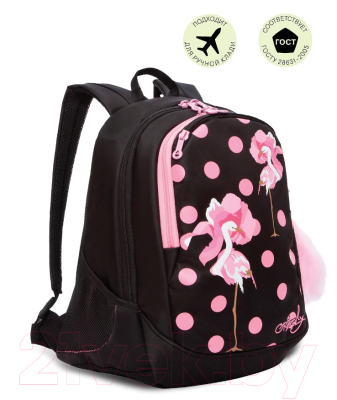 Школьный рюкзак Grizzly RD-843-12 (черный)