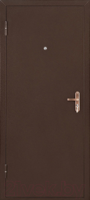 Входная дверь Промет Спец Pro BMD 86x206 (левая, капучино/антик медь)