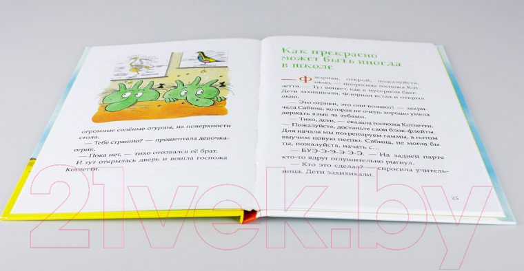 Художественная книга Альпина Огрики в школе (Эрхард Д.) — фото 4