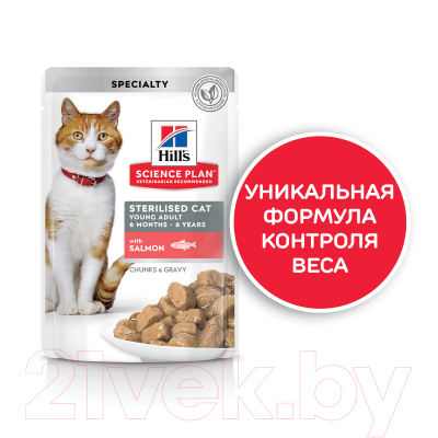 Влажный корм для кошек Hill's Feline Young Adult Sterilised Cat with Salmon (85г)