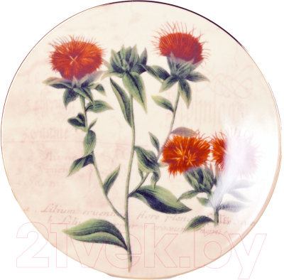 Декоративная тарелка Thun 1794 Репейник / ДЕК0016 (19см)