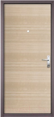 Входная дверь Mastino Slim Eco МP-2 (86x205, правая)