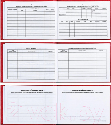Медицинская карта OfficeSpace История развития ребенка / 266721 (красный)