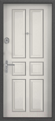 Входная дверь Mastino Slim Eco МP-4 (96x205, левая)