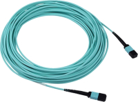 

Кабель Huawei, SN2F10MPOPC4 (14137264-001)