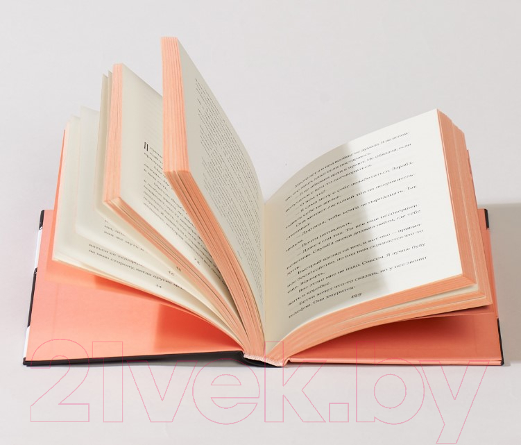 Художественная книга Альпина Найдите Лейлу (Элисон М.) — фото 5