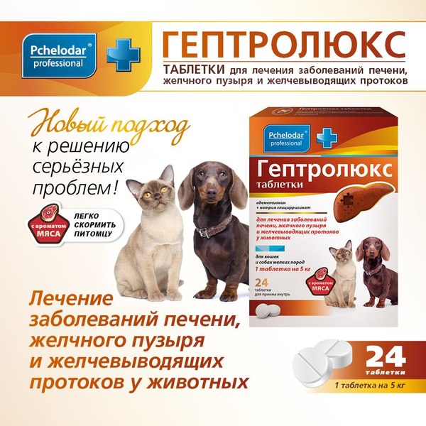 Таблетки для лечения печени и желчевыводящих путей у животных Pchelodar Для кошек и собак мелких пород (24шт)
