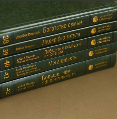 Книга Альпина Управление бизнес-процессами (Нелис Й.)