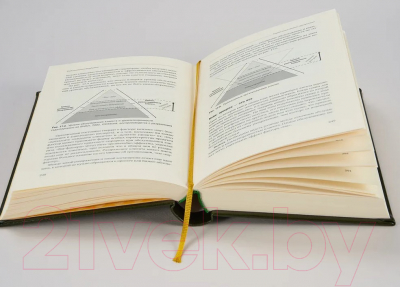 Книга Альпина Управление бизнес-процессами (Нелис Й.)