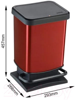 Контейнер для мусора Rotho Paso Treteimer с педалью / 1754011008 (20л, черный/красный)