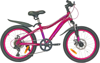 

Детский велосипед Nameless, S2200DW 20 / S2200DW-PN/GR-11(21)