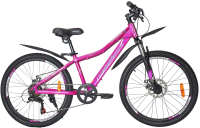 

Велосипед Nameless, J4100DW 24 / J4100DW-PR/GR-13(21)