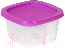 Контейнер SparkPlast BioFresh IS10504