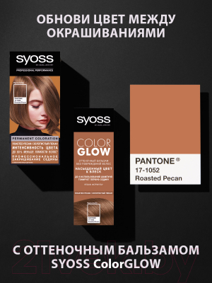 Крем-краска для волос Syoss Permanent Coloration 6-66 (115мл, золотистый пекан)