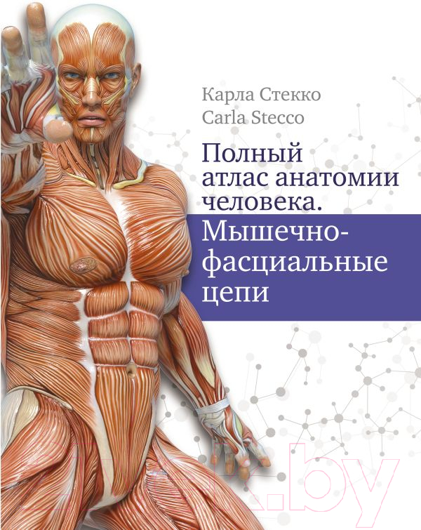 Книга АСТ Полный атлас анатомии человека
