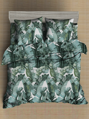 Комплект постельного белья Amore Mio Мако-сатин Spinney Микрофибра 1.5 / 93048 (зеленый/белый)