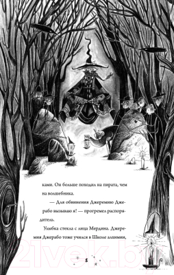 Книга Питер Роза Фалви и волшебник в саду (Фарнаби С.)