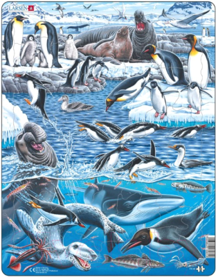 Пазл LARSEN Животный мир Антарктики FH48