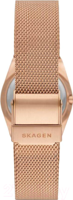Часы наручные женские Skagen SKW3035