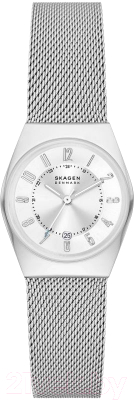 Часы наручные женские Skagen SKW3038