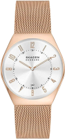 Часы наручные мужские Skagen SKW6818 - 