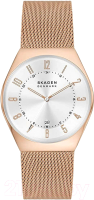 Часы наручные мужские Skagen SKW6818