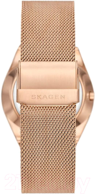 Часы наручные мужские Skagen SKW6818
