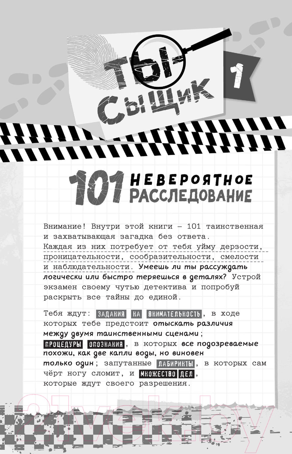 Книга АСТ 101 невероятное расследование (Сайалэро М.) — фото 3