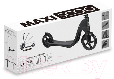 Самокат городской Maxiscoo MSC-C5111702W (белый)