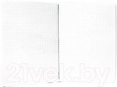 Изображение товара Записная книжка Проф-Пресс Точкабук. Тиктокер / 4680088450162