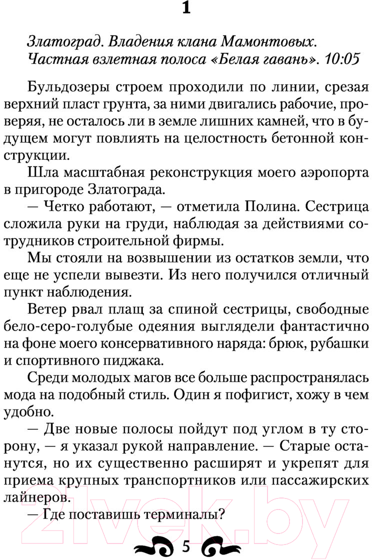 Художественная книга АСТ Воплощение Стихии (Каменев А.) — фото 5