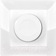 Миниатюра изображения товара Диммер Simon 1591311-030 (белый)