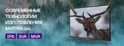 Изображение товара Телевизор POLAR P55U53T2CSM