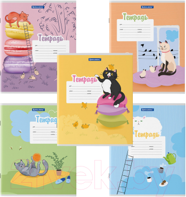 Изображение товара Тетрадь Brauberg Кот / 106472 (12л, линейка)