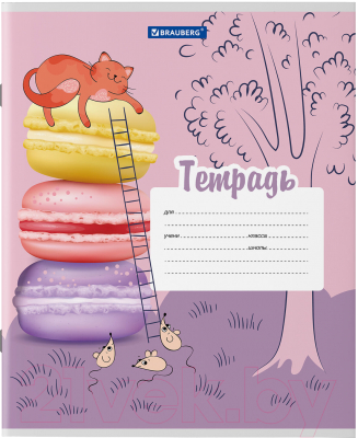 Изображение товара Тетрадь Brauberg Кот / 106472 (12л, линейка)