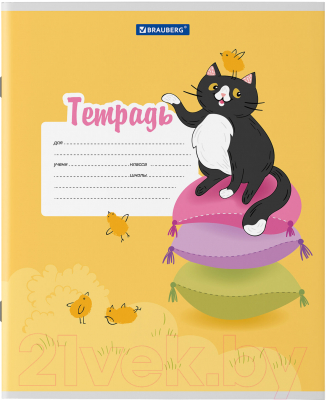 Изображение товара Тетрадь Brauberg Кот / 106472 (12л, линейка)