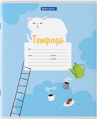 Изображение товара Тетрадь Brauberg Кот / 106472 (12л, линейка)