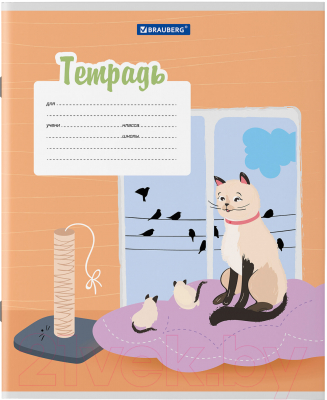 Изображение товара Тетрадь Brauberg Кот / 106472 (12л, линейка)