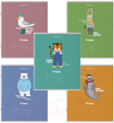 Изображение товара Тетрадь Brauberg Модные животные / 106480 (18л, клетка)
