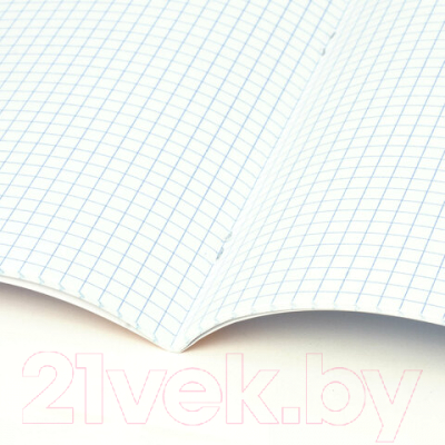 Изображение товара Тетрадь Brauberg Модные животные / 106480 (18л, клетка)