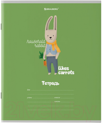 Изображение товара Тетрадь Brauberg Модные животные / 106480 (18л, клетка)