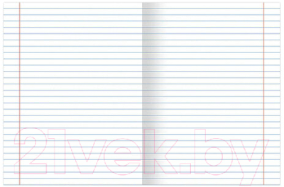 Изображение товара Тетрадь Brauberg Яркий микс / 106488 (24л, линейка)