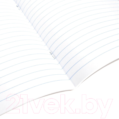 Изображение товара Тетрадь Brauberg Яркий микс / 106488 (24л, линейка)