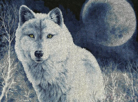 Набор для вышивания Золотое руно Белый волк / ДЖ-029 - 