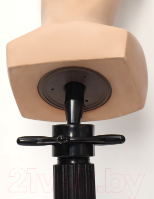 Изображение товара Кронштейн для манекенов тренировочных Queen Fair Универсальный / 6943110