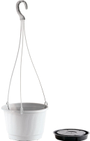 

Вазон Prosperplast, DWP21-S449