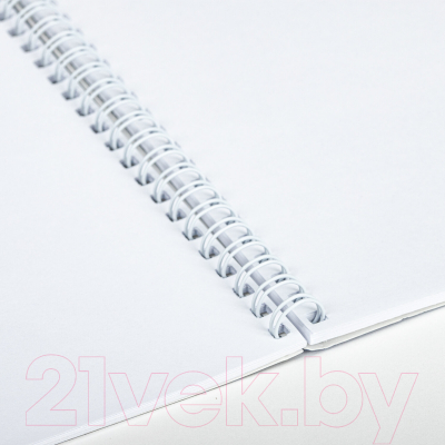 Изображение товара Альбом для рисования Brauberg Летний пейзаж / 106328 (в ассортименте)