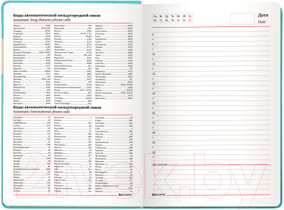 Ежедневник Brauberg Aim / 113419 (бирюзовый)