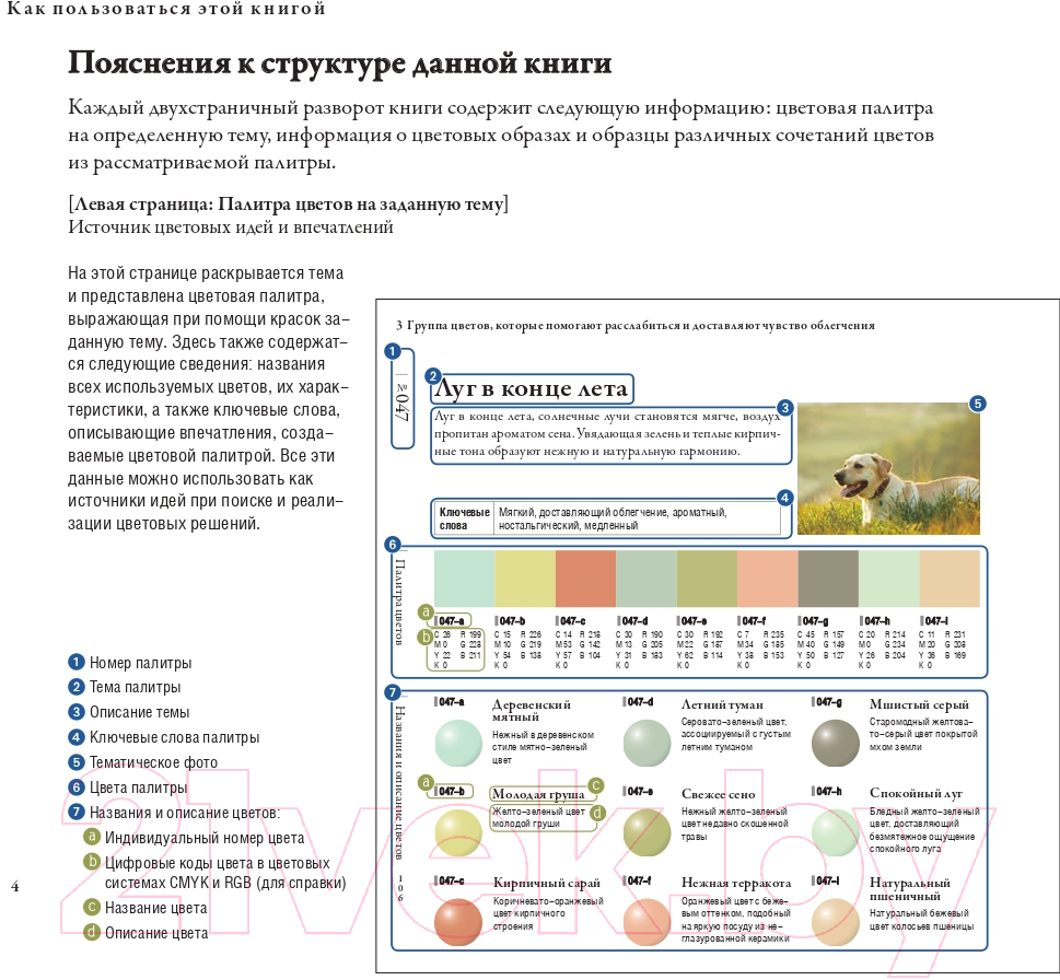 Книга Попурри Сочетание цветов на практике